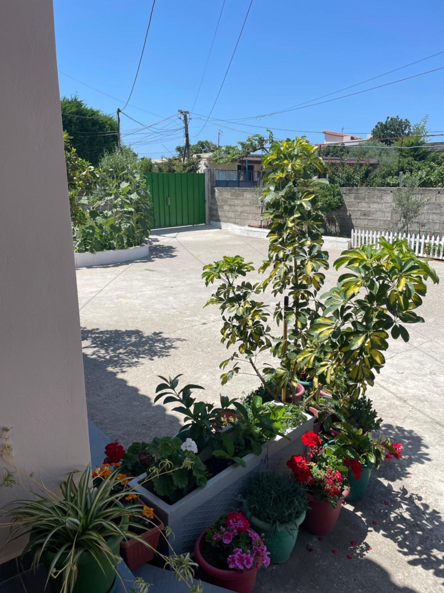 Rental Houses Dukaj Влёра Экстерьер фото